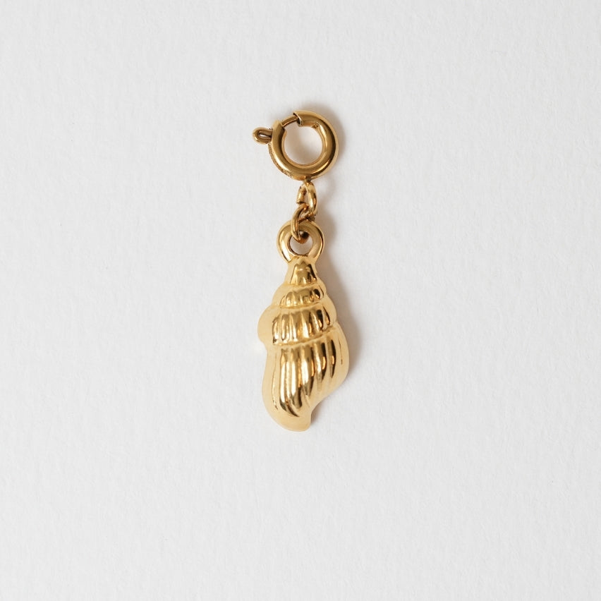 Spiral Shell
