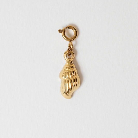 Spiral Shell